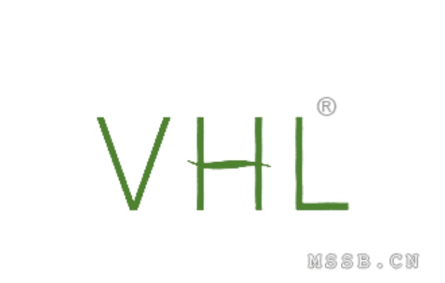 VH品牌深度解析，历史、产品与市场地位广西代工香烟 - 2 - 635香烟网