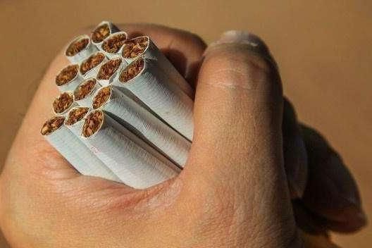 软云烟，一种生活方式的选择批发商城 - 2 - 635香烟网