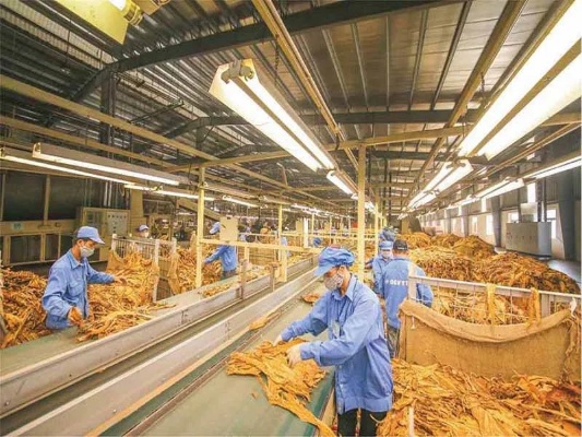 越南崛起，东南亚代工烟厂引领制造新潮流 - 3 - 635香烟网