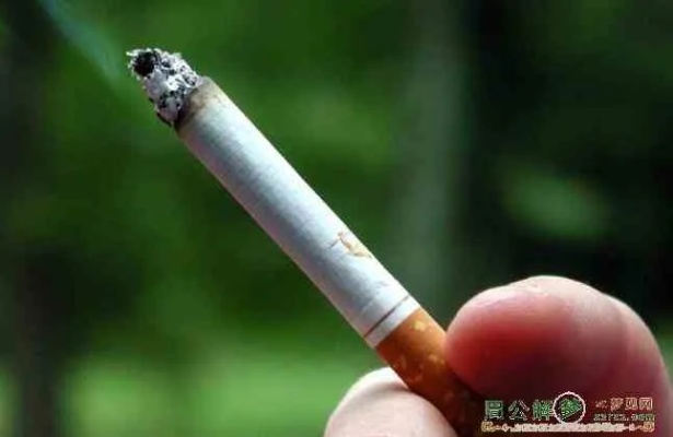 探究断烟头含义与断头香烟价格差异 - 2 - 635香烟网
