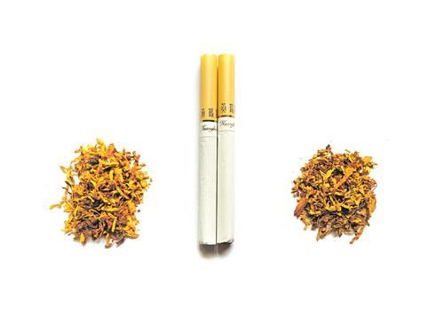 探索黄色烟嘴香烟，独特色彩背后的品牌与文化 - 1 - 635香烟网