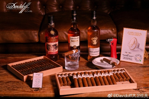 探索大卫杜夫小雪茄，品味奢华与精致生活的艺术 - 2 - 635香烟网
