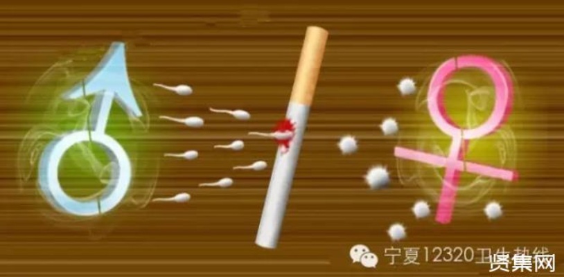 520香烟对精子质量的影响：健康风险与吸烟建议 - 1 - 635香烟网