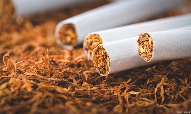 探索高品质香烟市场，揭秘优质烟草的来源与选择