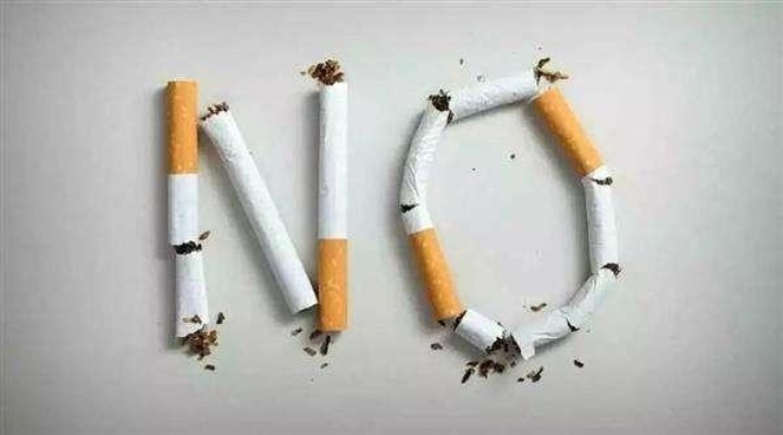 520香烟对精子质量的影响：健康风险与吸烟建议 - 3 - 635香烟网