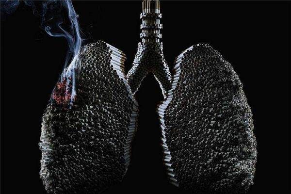 戒烟后肺部恢复的旅程，10年烟龄者的希望之路一手货源 - 4 - 635香烟网