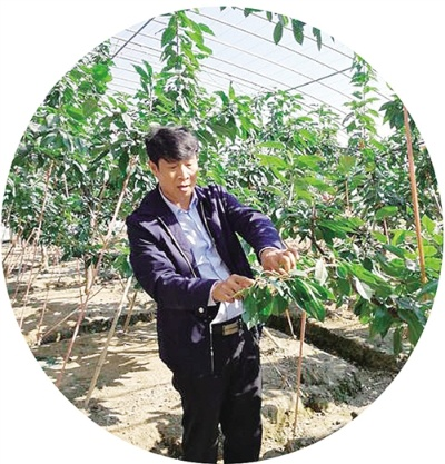 郑才木:一位普通农民的非凡人生,他用双手谱写乡村振兴的动人篇章 郑才木:一位普通农民的非凡人生,他用双手谱写乡村振兴的动人篇章