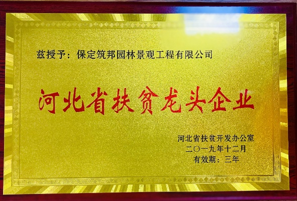 保定市铜牌的长尾关键词有哪些 保定市铜牌的长尾关键词有哪些