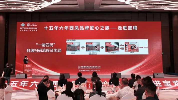 陕西宝荣:探索本土品牌的崛起之路与年轻一代的共鸣 陕西宝荣:探索本土品牌的崛起之路与年轻一代的共鸣