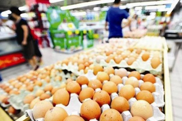 【哈尔滨今日鸡蛋价格】2025年6月22日哈尔滨鸡蛋价格是多少 【哈尔滨今日鸡蛋价格】2025年6月22日哈尔滨鸡蛋价格是多少