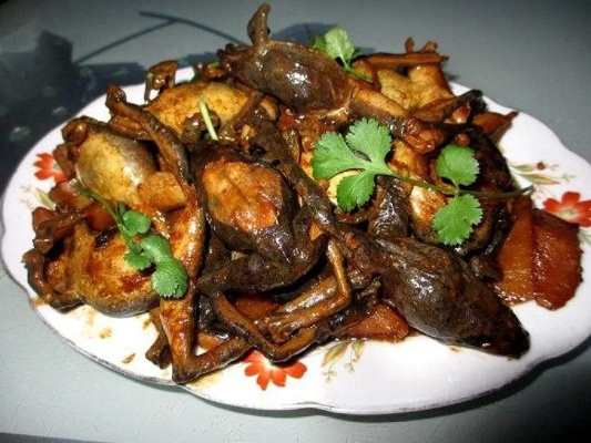 东北蛤蟆的做法大全的长尾关键词有什么 东北蛤蟆的做法大全的长尾关键词有什么