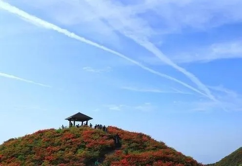长沙市有个什么山景区名字 长沙市有个什么山景区名字
