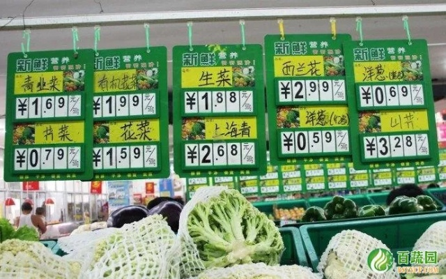 【深圳今日菜价】2025年6月3日深圳菜价是多少 【深圳今日菜价】2025年6月3日深圳菜价是多少