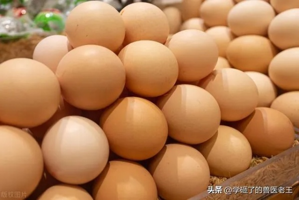 【哈尔滨今日鸡蛋价格】2025年7月3日哈尔滨鸡蛋价格是多少 【哈尔滨今日鸡蛋价格】2025年7月3日哈尔滨鸡蛋价格是多少