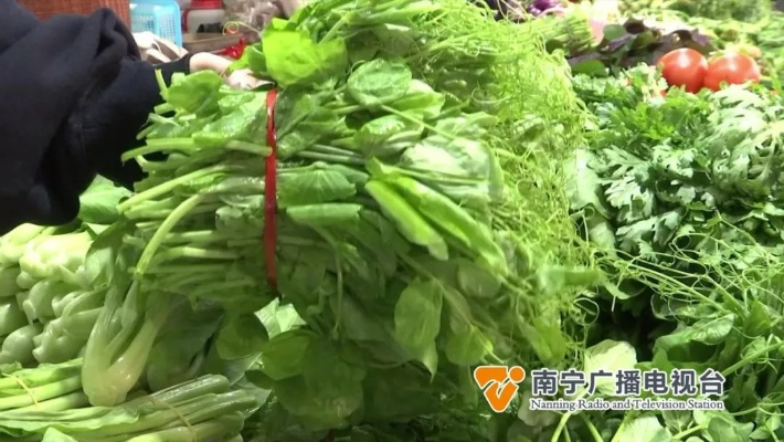 【南宁今日菜价】2025年7月15日南宁菜价是多少 【南宁今日菜价】2025年7月15日南宁菜价是多少