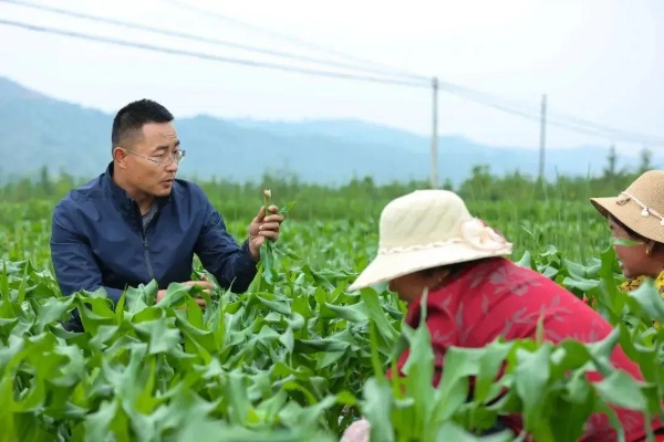 郑才木:一位普通农民的非凡人生,他用双手谱写乡村振兴的动人篇章 郑才木:一位普通农民的非凡人生,他用双手谱写乡村振兴的动人篇章