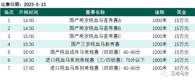 赛马价格揭秘:如何用合理预算实现你的贵族梦想? 赛马价格揭秘:如何用合理预算实现你的贵族梦想?