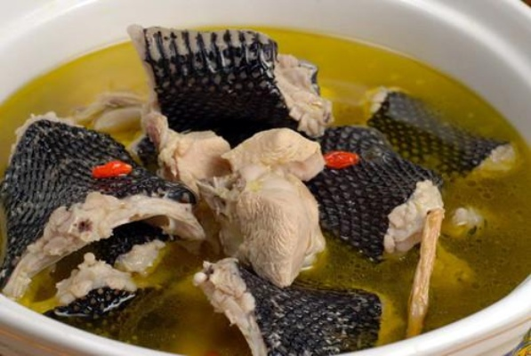 武汉市蛇肉馆在哪个位置 武汉市蛇肉馆在哪个位置