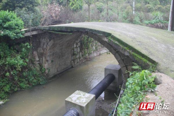 长沙单木桥村相关长尾关键词有哪些 长沙单木桥村相关长尾关键词有哪些