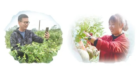沃土阳光:照亮乡村振兴新希望,年轻人返乡创业正当时 沃土阳光:照亮乡村振兴新希望,年轻人返乡创业正当时