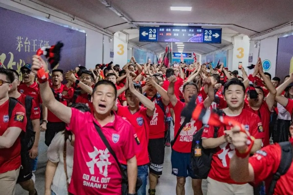 足球直播间2023世界杯:激情四溢的盛宴,赛事背后的精彩瞬间 足球直播间2023世界杯:激情四溢的盛宴,赛事背后的精彩瞬间