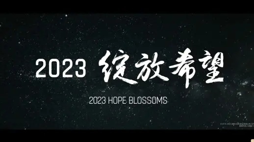 从绝望到希望:我与“瑞特”共度的重生之旅 从绝望到希望:我与“瑞特”共度的重生之旅