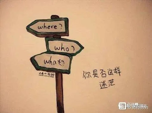 我的选4之旅:从迷茫到坚定的心路历程 我的选4之旅:从迷茫到坚定的心路历程