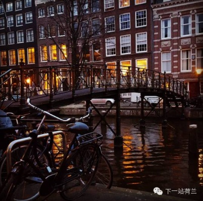 我在阿姆斯的奇幻之旅:一个普通人的不平凡体验 我在阿姆斯的奇幻之旅:一个普通人的不平凡体验