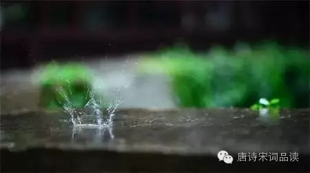 静雨无声润万物:一场唤醒城市心灵的温柔邂逅 静雨无声润万物:一场唤醒城市心灵的温柔邂逅