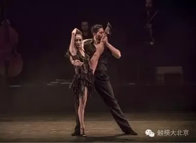阿根廷版舞林大会:探戈与激情的完美碰撞,让你心跳加速! 阿根廷版舞林大会:探戈与激情的完美碰撞,让你心跳加速!