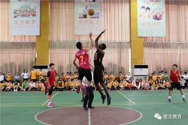 飞龙篮球队:热血与梦想交织的青春风暴 飞龙篮球队:热血与梦想交织的青春风暴