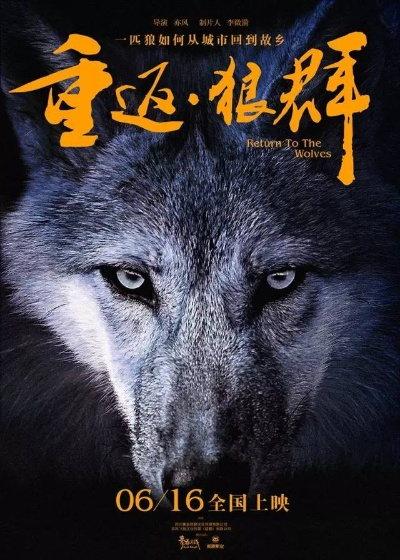 重返狼堡:一段震撼心灵的寻根之旅 重返狼堡:一段震撼心灵的寻根之旅