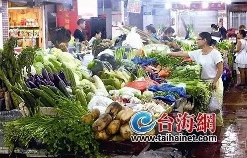 【厦门今日菜价】2025年5月11日厦门菜价是多少 【厦门今日菜价】2025年5月11日厦门菜价是多少