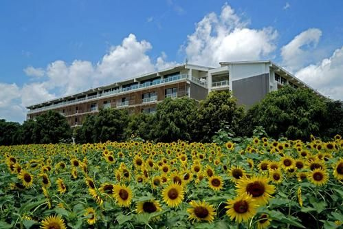 南宁南职学院是公办的吗? 南宁南职学院是公办的吗?