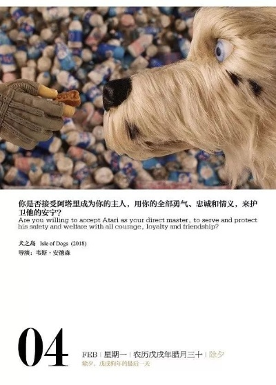 我在拉赫蒂的365天:一个异乡人的温暖与成长 我在拉赫蒂的365天:一个异乡人的温暖与成长