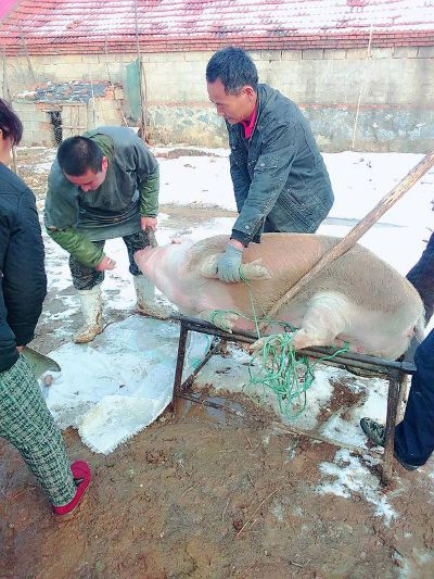 东北杀猪脱毛工具图片百度长尾关键词有哪些 东北杀猪脱毛工具图片百度长尾关键词有哪些