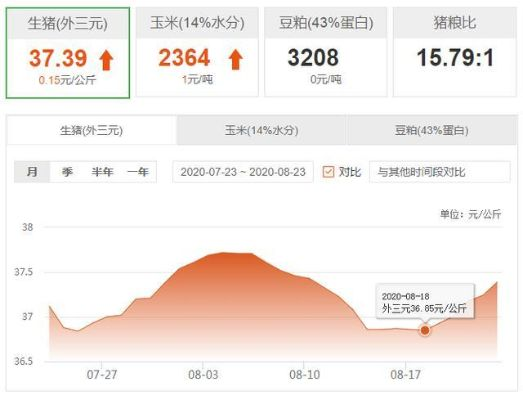 【兰州今日生猪价格】2025年7月4日兰州生猪价格是多少 【兰州今日生猪价格】2025年7月4日兰州生猪价格是多少