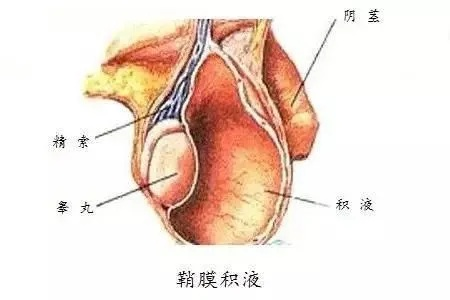 从巅峰到低谷:我的运动型疝气噩梦与重生之路 从巅峰到低谷:我的运动型疝气噩梦与重生之路