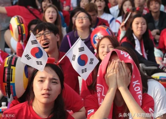 世界杯中韩门票之争:球迷热情与市场博弈的完美结合 世界杯中韩门票之争:球迷热情与市场博弈的完美结合