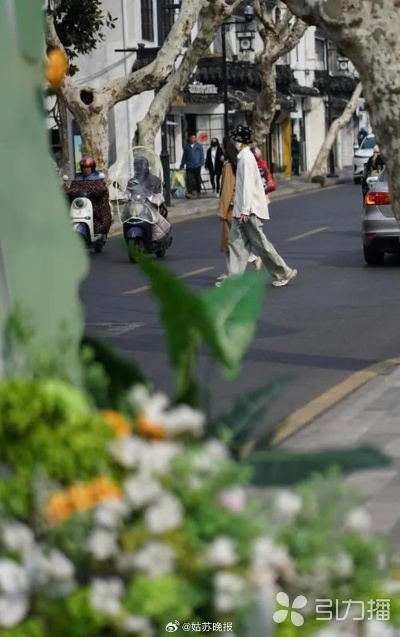 2026.1.1苏州今日穿衣指南 2026.1.1苏州今日穿衣指南