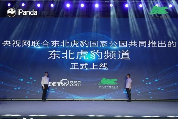 长春铁通东北虎:网络通信领域的“猛虎”传奇 长春铁通东北虎:网络通信领域的“猛虎”传奇
