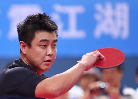 王浩乒乓球:我的热血青春与乒乓梦 王浩乒乓球:我的热血青春与乒乓梦