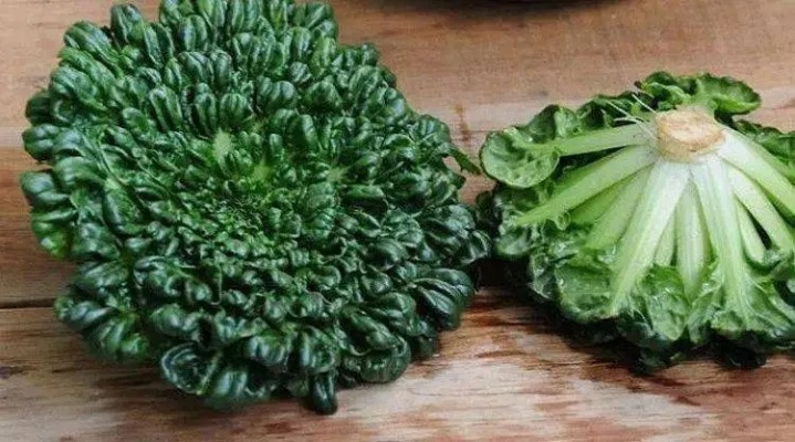 南通的黑菜官方叫法长尾关键词有什么 南通的黑菜官方叫法长尾关键词有什么