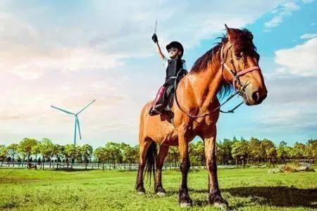 踏上骑士之路:我的冒险与成长之旅 踏上骑士之路:我的冒险与成长之旅