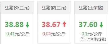【桂林今日生猪价格】2025年10月21日桂林生猪价格是多少 【桂林今日生猪价格】2025年10月21日桂林生猪价格是多少
