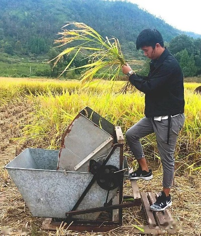 筛稻米的工具叫什么长尾关键词集合 筛稻米的工具叫什么长尾关键词集合