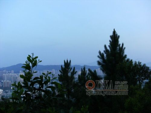 厦门市岳阳山发生什么 厦门市岳阳山发生什么