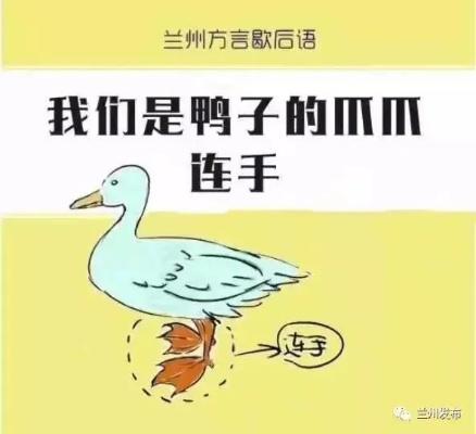 兰州方言尕嫂子的相关长尾关键词有哪些 兰州方言尕嫂子的相关长尾关键词有哪些