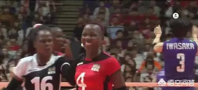 热血沸腾!世界杯女排肯尼亚对决麦克隆,现场直击震撼瞬间 热血沸腾!世界杯女排肯尼亚对决麦克隆,现场直击震撼瞬间