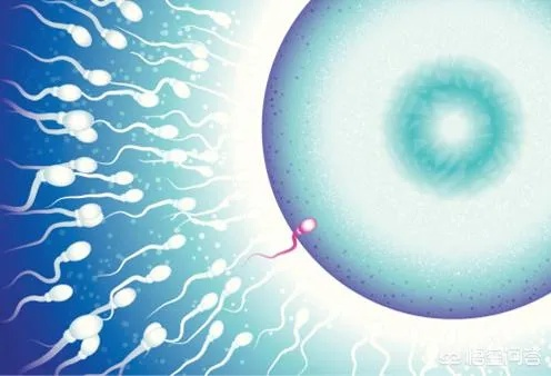 精液能做什么的长尾关键词有哪些 精液能做什么的长尾关键词有哪些